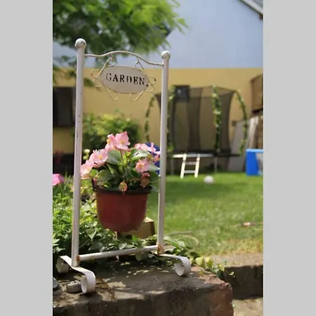 Apartman Brankova Kuca Sremski Karlovci Exterior photo
