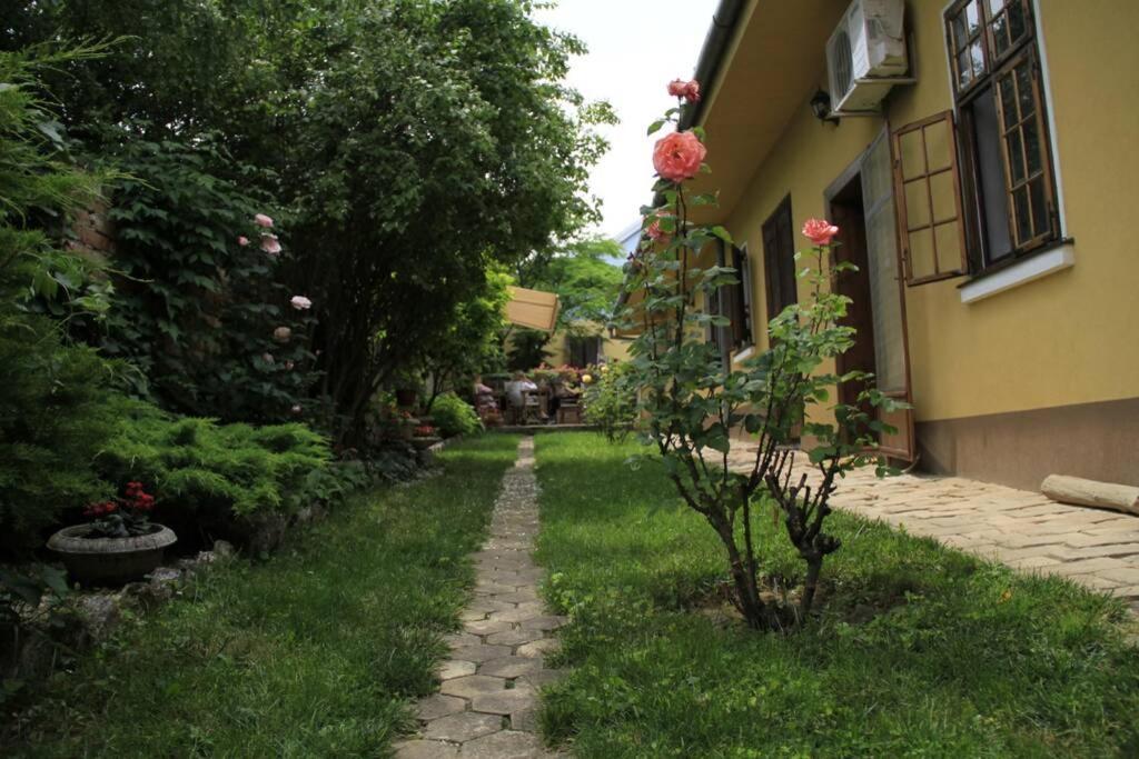 Apartment Brankova Kuca Sremski Karlovci